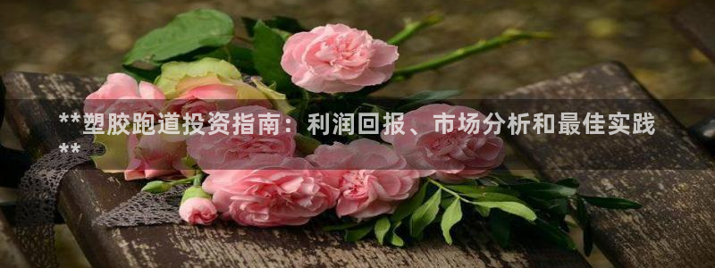 谈球吧app赛事分析：**塑胶跑道投资指南：利润回报、市场分析和最佳实践
**