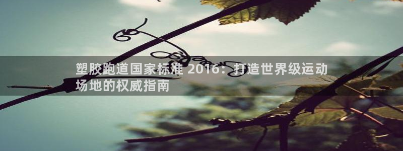 谈球吧下载地址：塑胶跑道国家标准 2016：打造世界