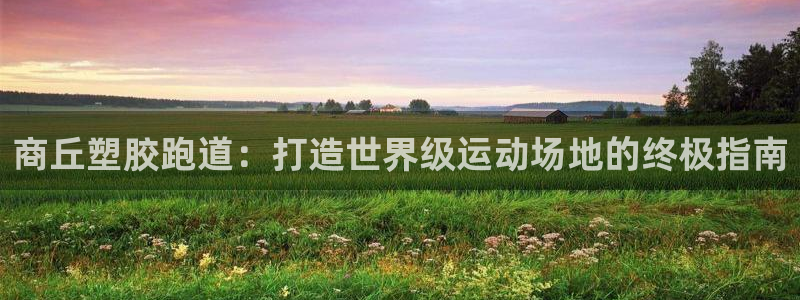 谈球吧网app官网下载：商丘塑胶跑道：打造世界级运动场地的终极指南
