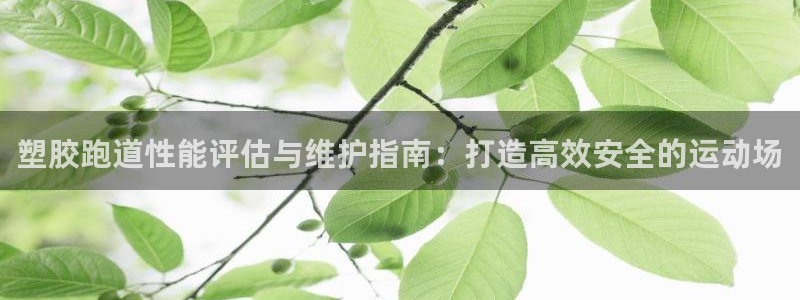 谈球吧登录网：塑胶跑道性能评估与维护指南：打造高效安全的运动场