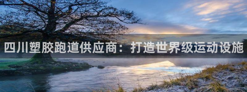 谈球吧：四川塑胶跑道供应商：打造世界级运动设施
