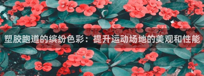 谈球吧打不开了：塑胶跑道的缤纷色彩：提升运动场地的美