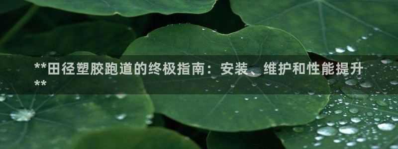 谈球吧的聊天软件叫什么来着：**田径塑胶跑道的终极指南：安装、维护和性能提升
**