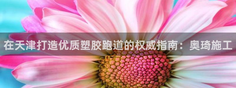 谈球吧app官方下载：在天津打造优质塑胶跑道的权威指南：奥琦施工