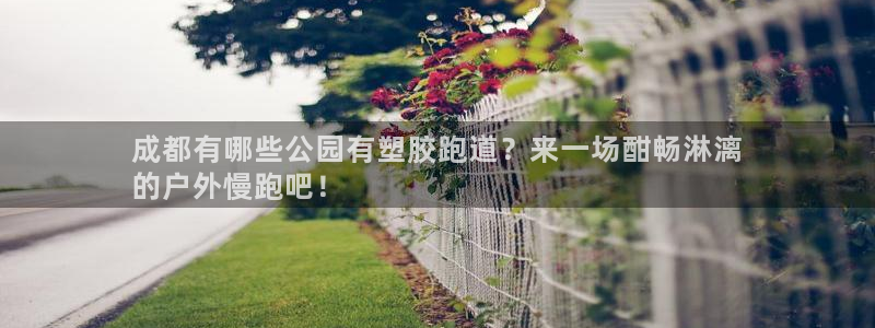 谈球吧体育app下载中心官网：成都有哪些公园有塑胶跑