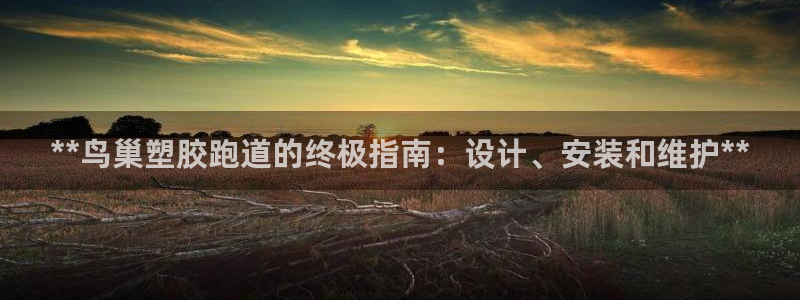 谈球吧app体育下载官网：**鸟巢塑胶跑道的终极指南