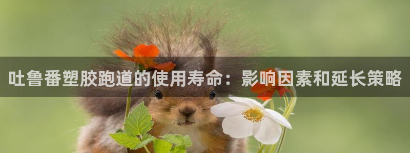 谈球吧APP入口：吐鲁番塑胶跑道的使用寿命：影响因素和延长策略