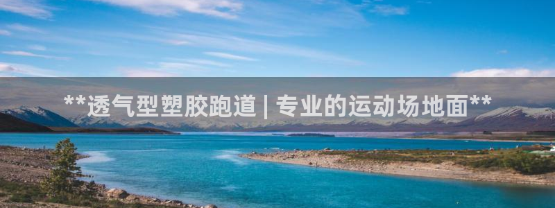 谈球吧官网在线入口手机版免费观看：**透气型塑胶跑道 | 专业的运动场地面**