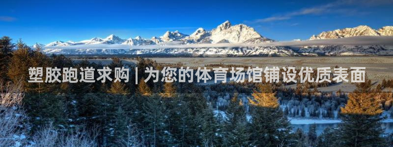 谈球吧咋样：塑胶跑道求购 | 为您的体育场馆铺设优质表面
