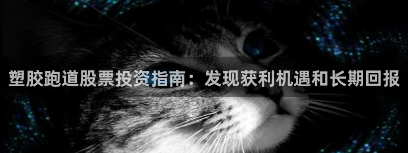 谈球吧网页登陆：塑胶跑道股票投资指南：发现获利机遇和长期回报