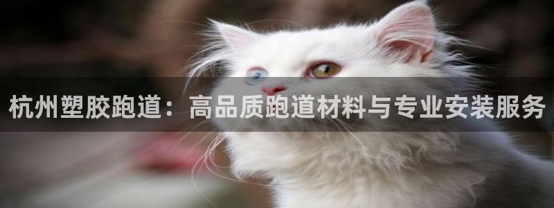 谈球吧不出款：杭州塑胶跑道：高品质跑道材料与专业安装服务