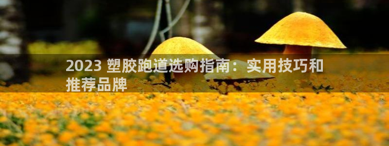 谈球吧是黑台子吗是真的吗：2023 塑胶跑道选购指南：实用技巧和
推荐品牌