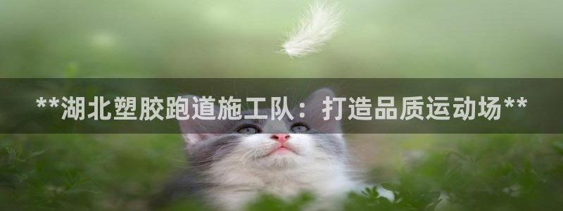 谈球吧的聊天软件叫什么：**湖北塑胶跑道施工队：打造品质运动场**