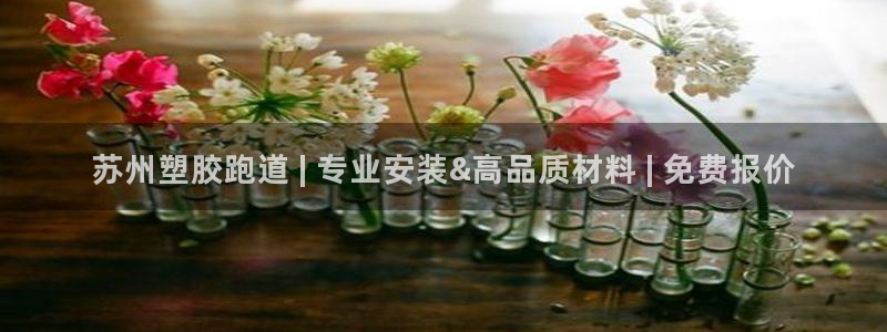 谈球吧中国官方网站：苏州塑胶跑道 | 专业安装&高品质材料 | 免费报价
