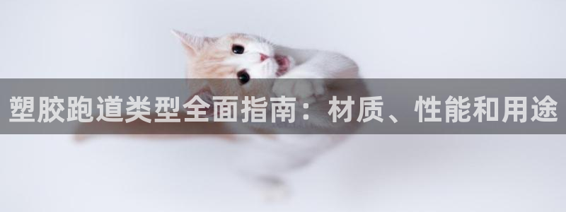 谈球吧最新APP下载：塑胶跑道类型全面指南：材质、性能和用途