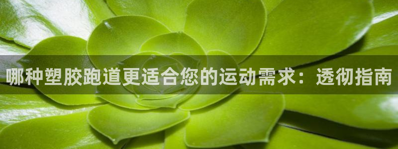 谈球吧下载：哪种塑胶跑道更适合您的运动需求：透彻指南
