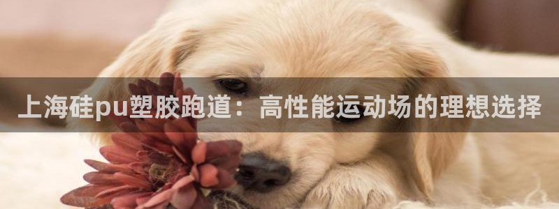谈球吧app体育下载：上海硅pu塑胶跑道：高性能运动场的理想选择