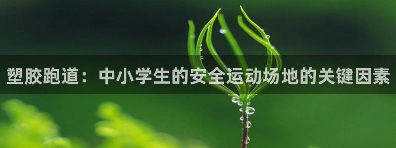 谈球吧官网在线入口免费观看视频：塑胶跑道：中小学生的安全运动场地的关键因素