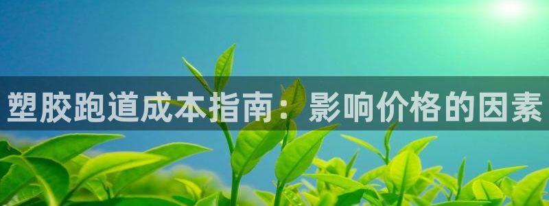 谈球吧登录：塑胶跑道成本指南：影响价格的因素