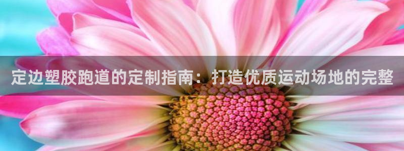 谈球吧在线登录免费观看：定边塑胶跑道的定制指南：打造优质运动场地的完整