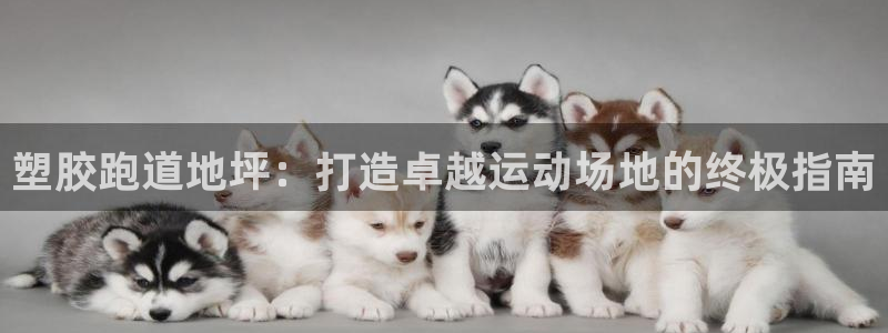 tqb谈球吧：塑胶跑道地坪：打造卓越运动场地的终极指