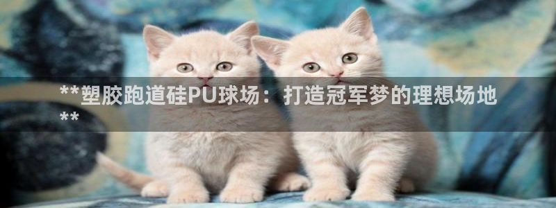 谈球吧官网在线入口免费观看视频下载：**塑胶跑道硅PU球场：打造冠军梦的理想场地
**