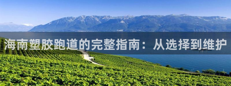 谈球吧平台app下载网址是多少：海南塑胶跑道的完整指南：从选择到维护