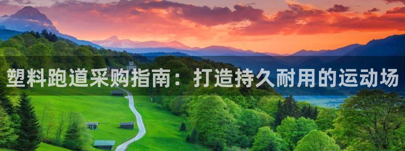 谈球吧官方网站：塑料跑道采购指南：打造持久耐用的运动场