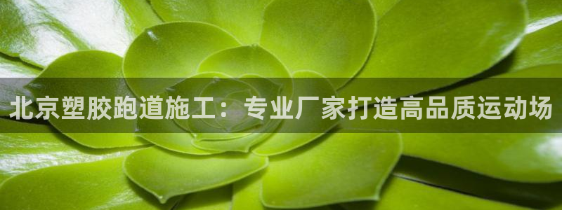 谈球吧官网在线入口免费观看：北京塑胶跑道施工：专业厂家打造高品质运动场