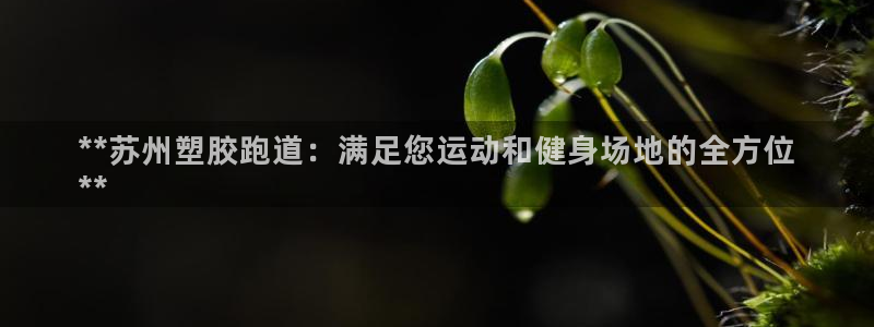 谈球吧出款：**苏州塑胶跑道：满足您运动和健身场地的全方位
**