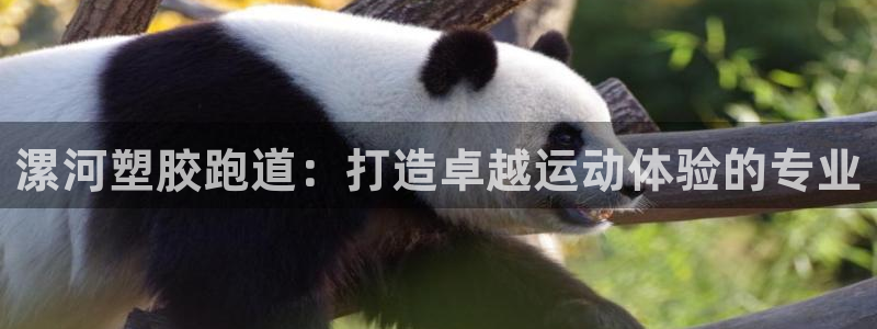 谈球吧体育app登陆不了：漯河塑胶跑道：打造卓越运动