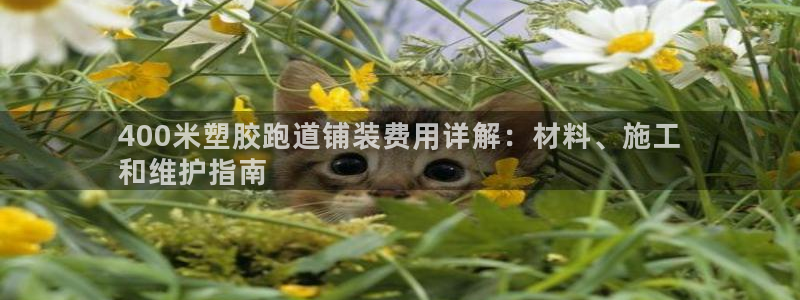 谈球吧官网在线入口免费观看视频：400米塑胶跑道铺装费用详解：材料、施工
和维护指南