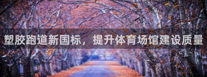 谈球吧app在哪里下载：塑胶跑道新国标，提升体育场馆建设质量