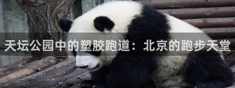 谈球吧官网在线入口免费观看视频网站：天坛公园中的塑胶