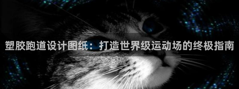 谈球吧体育app下载足球比赛视频：塑胶跑道设计图纸：打造世界级运动场的终极指南