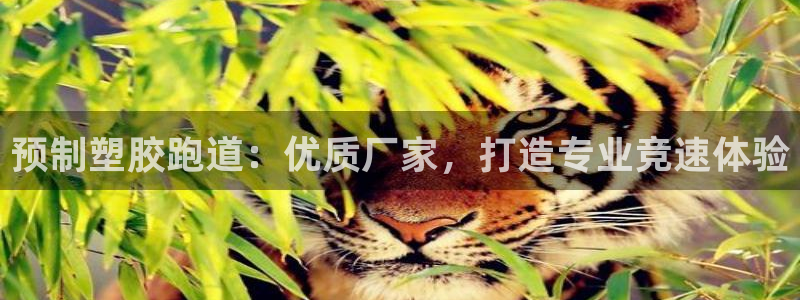 谈球吧体育app登陆不上：预制塑胶跑道：优质厂家，打造专业竞速体验