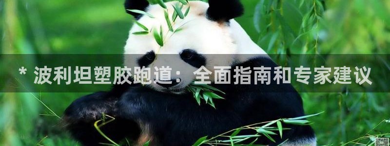 谈球吧下载地址：* 波利坦塑胶跑道：全面指南和专家建议