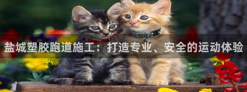 谈球吧体育app官网下载：盐城塑胶跑道施工：打造专业、安全的运动体验