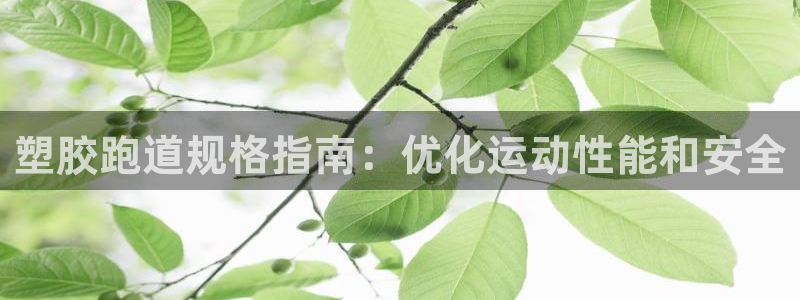谈球吧黑款不：塑胶跑道规格指南：优化运动性能和安全