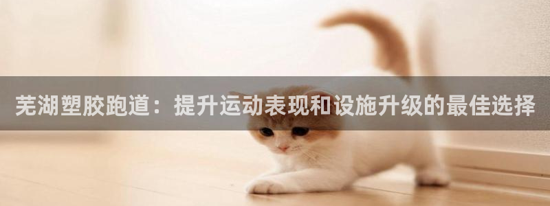 谈球吧官网首页：芜湖塑胶跑道：提升运动表现和设施升级的最佳选择