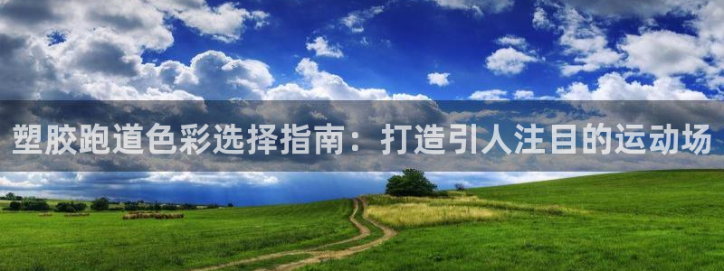 谈球吧全站app下载手机版：塑胶跑道色彩选择指南：打造引人注目的运动场