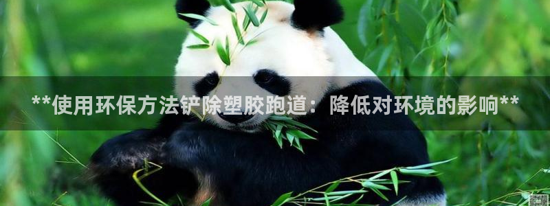 谈球吧在线登录免费观看：**使用环保方法铲除塑胶跑道：降低对环境的影响**