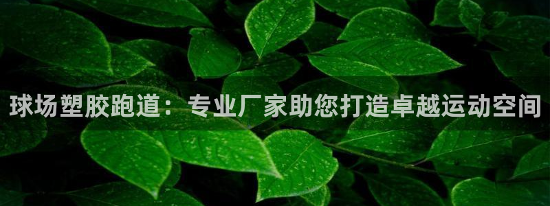 谈球吧打不开了：球场塑胶跑道：专业厂家助您打造卓越运动空间