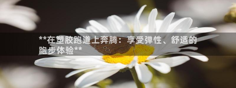 谈球吧的聊天软件下载：**在塑胶跑道上奔腾：享受弹性、舒适的
跑步体验**
