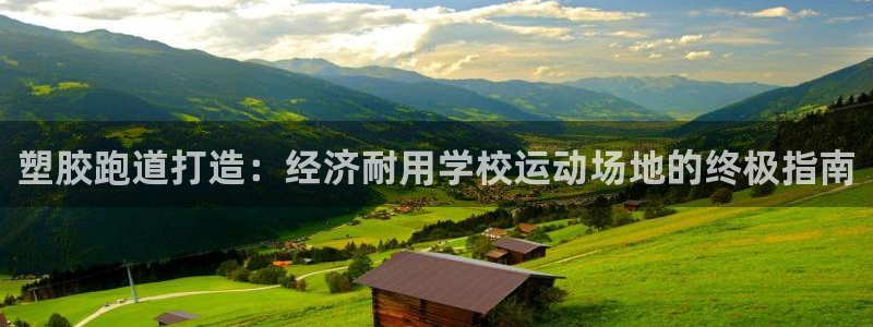 谈球吧官网在线入口手机版免费下载：塑胶跑道打造：经济耐用学校运动场地的终极指南