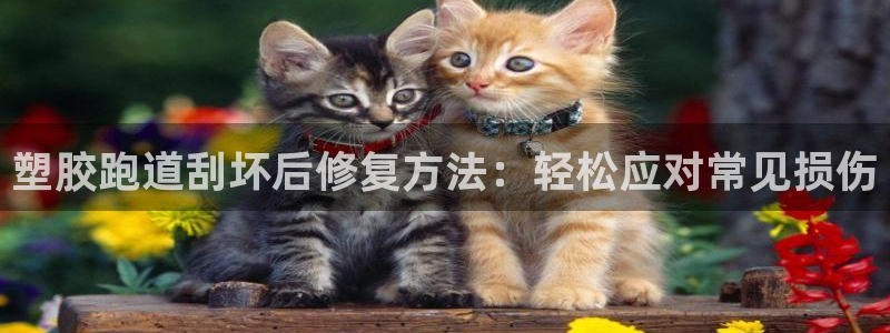 谈球吧体育app登陆不上：塑胶跑道刮坏后修复方法：轻松应对常见损伤