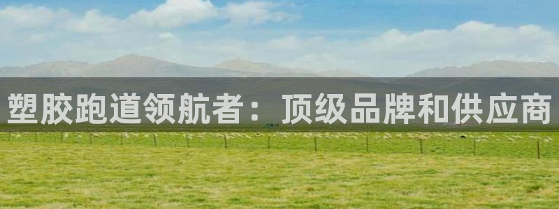 谈球吧官网在线入口免费观看视频下载：塑胶跑道领航者：顶级品牌和供应商