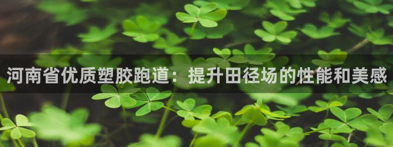 谈球吧属于哪个旗下：河南省优质塑胶跑道：提升田径场的性能和美感