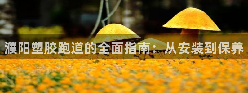 谈球吧体育官网入口：濮阳塑胶跑道的全面指南：从安装到保养