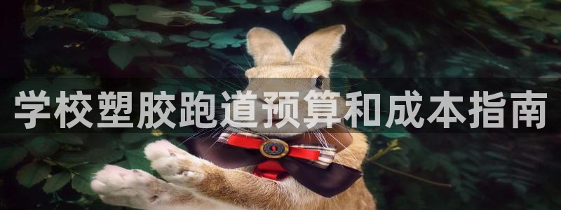 谈球吧app下载：学校塑胶跑道预算和成本指南